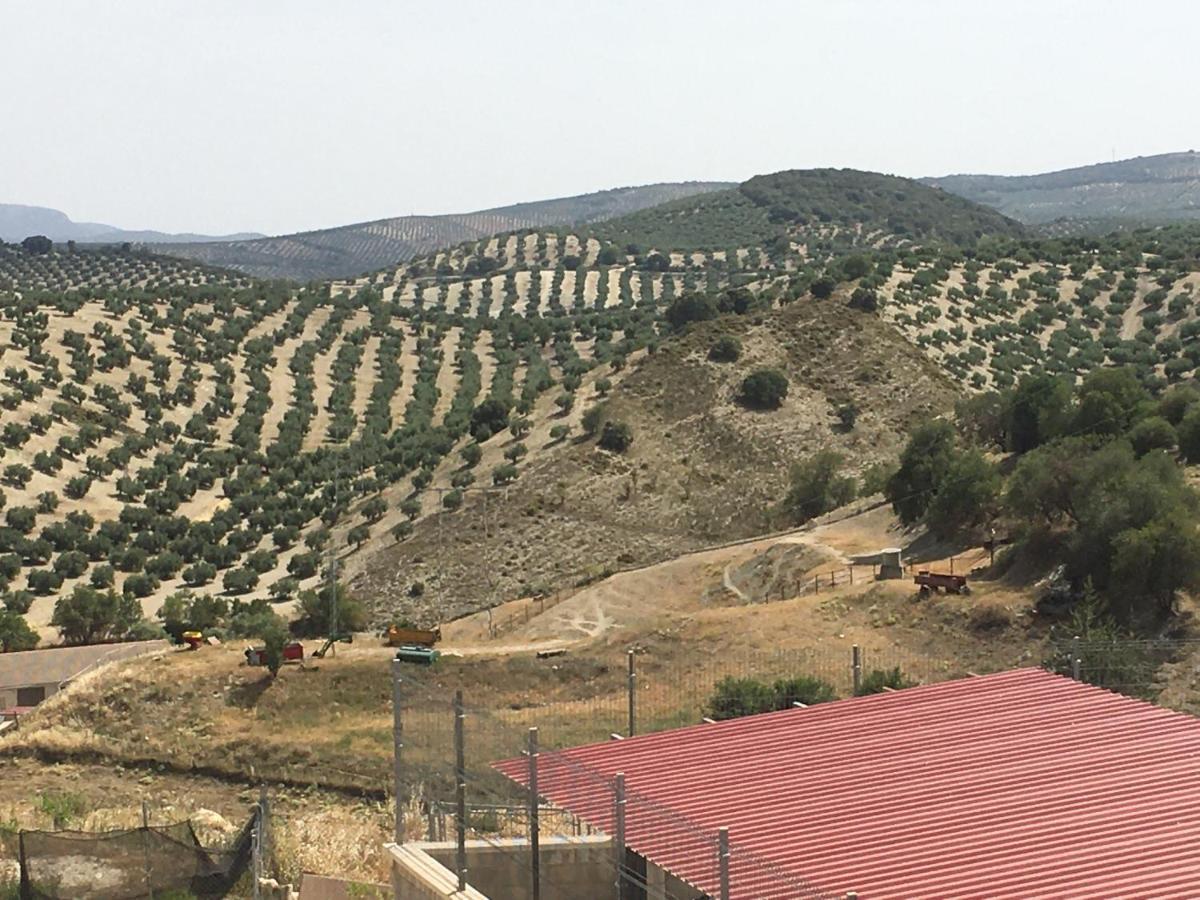 Apartamento Turistico Mirador De Sierra Magina Noalejo Entre Granada Y Jaen Εξωτερικό φωτογραφία